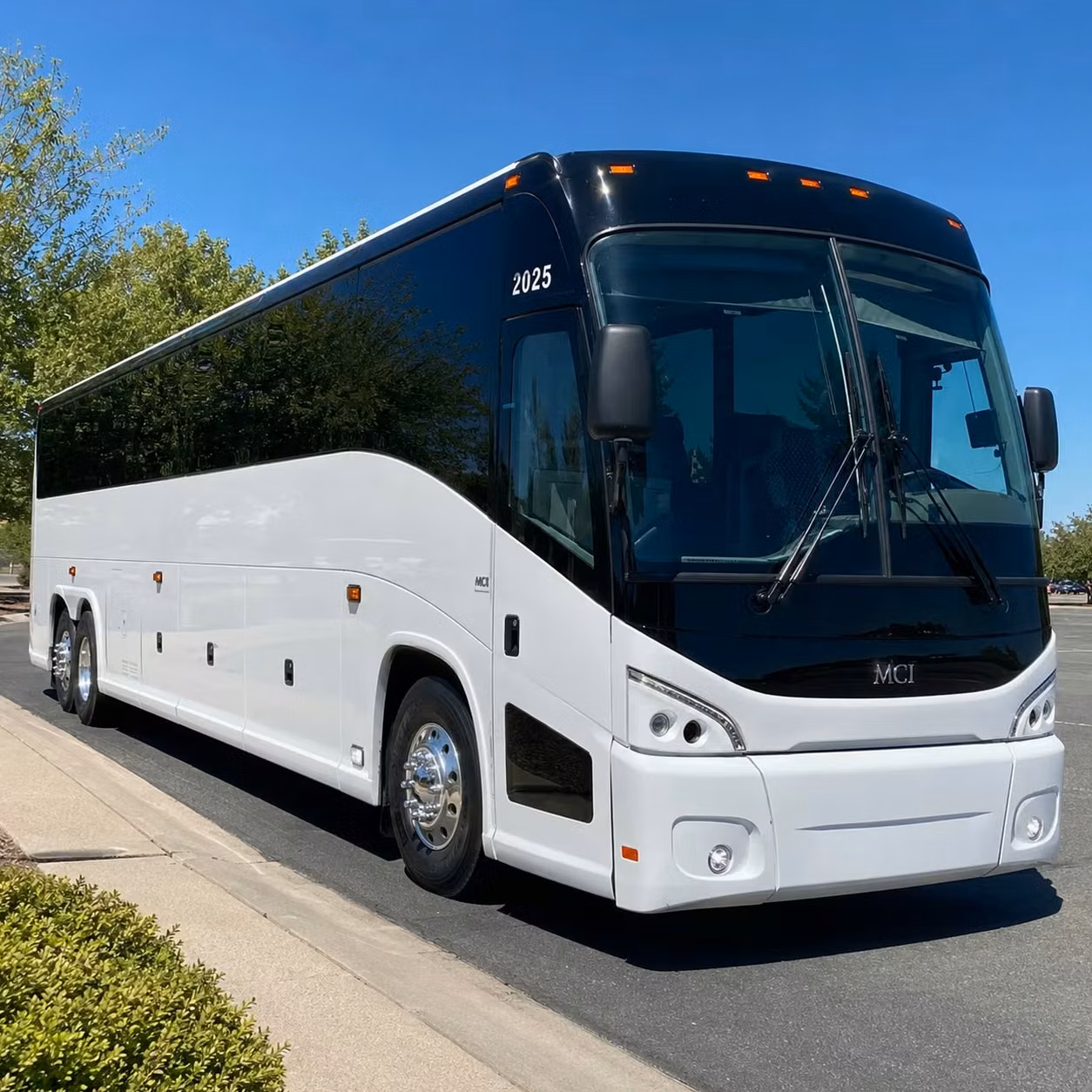 busrentalcharleston com puts your youth group in the right bus for every charleston event