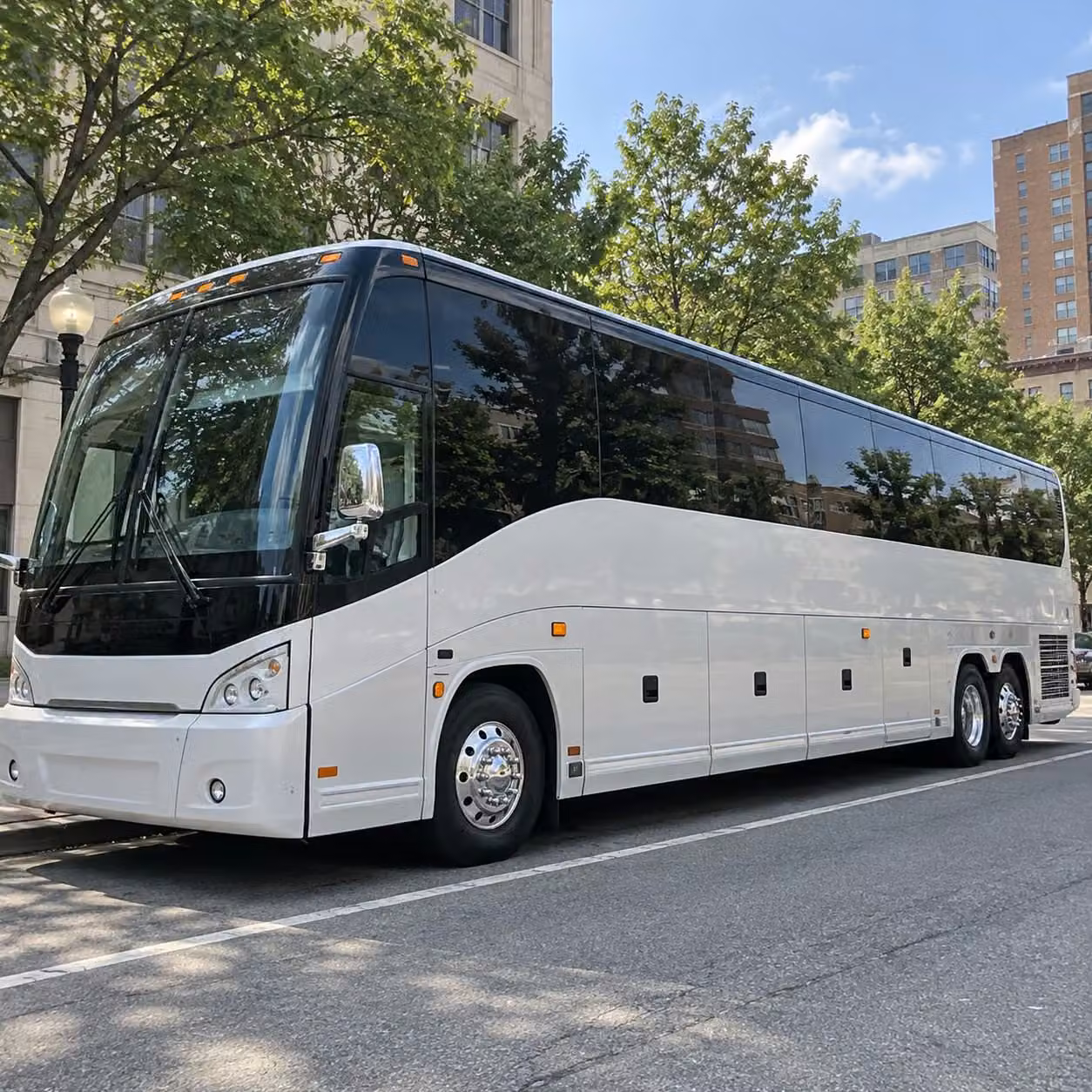 you can find and book sporting event transportation in charleston and any nearby city